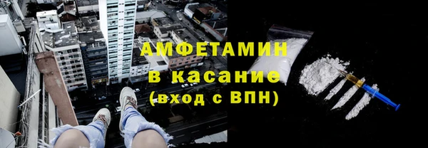 индика Горнозаводск