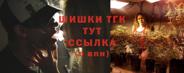 СК Горняк
