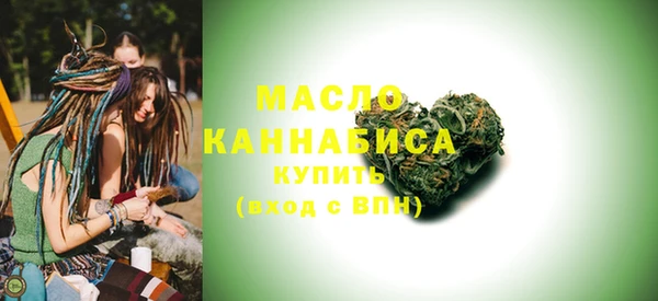 индика Горнозаводск