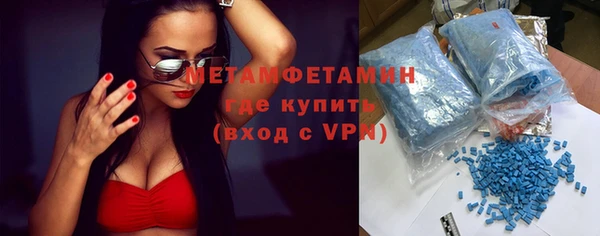 индика Горнозаводск