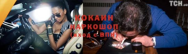 индика Горнозаводск