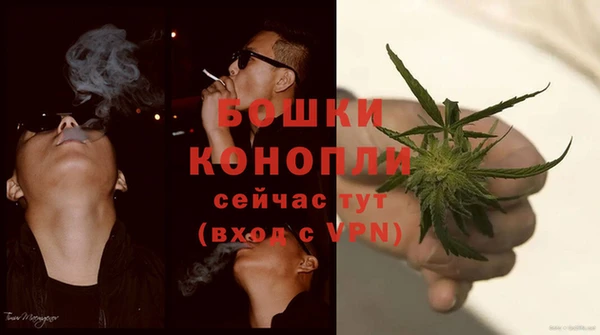 индика Горнозаводск