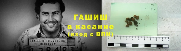 индика Горнозаводск