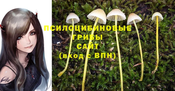 СК Горняк