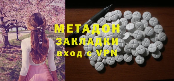 индика Горнозаводск