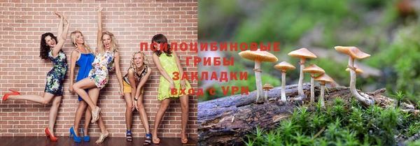 индика Горнозаводск