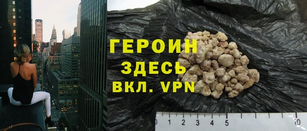 индика Горнозаводск