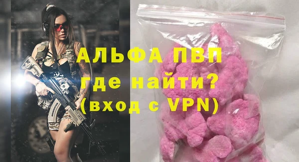индика Горнозаводск
