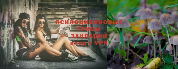 индика Горнозаводск