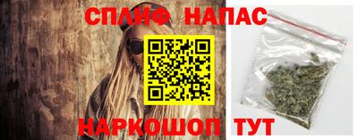 СК Жуковский