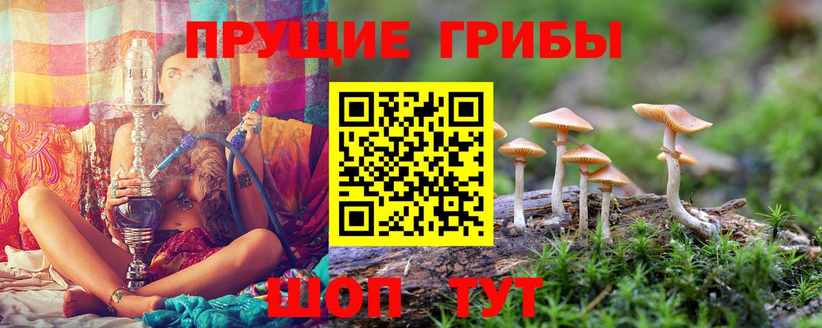 Галлюциногенные грибы ЛСД  Вход с VPN  Псилоцибиновые грибы Psilocybine cubensis  купить   Можга 