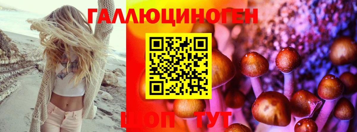 Псилоцибиновые грибы GOLDEN TEACHER Можга